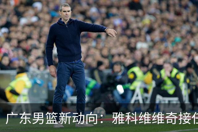 广东男篮新动向：雅科维维奇接任外教，积极寻找内线补强